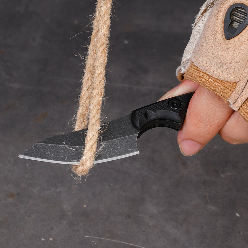 5CR15 Stainless Steel Small Fi - Edc Carry Fixed Blade Knife ulasan dan harga